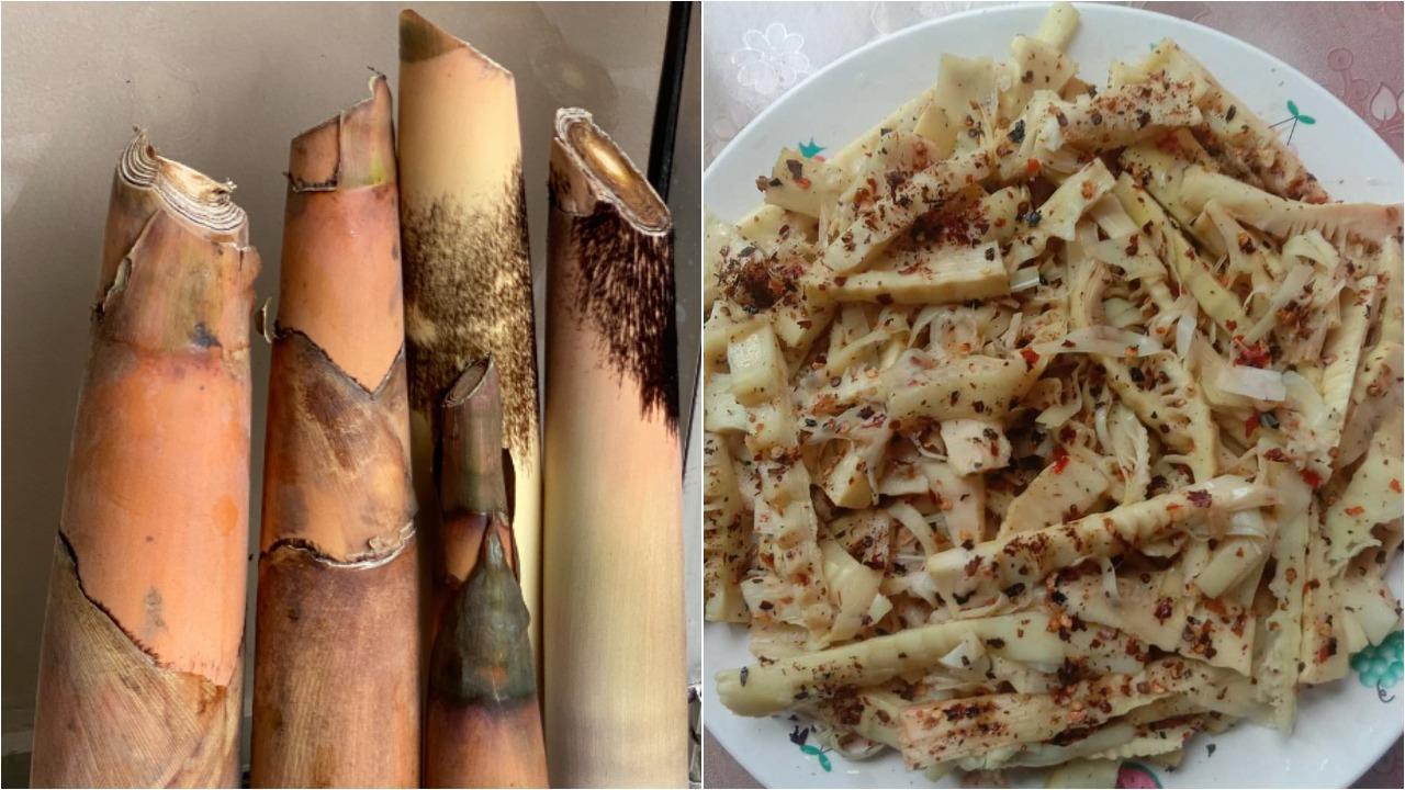 How North East cuisines celebrate the earthy flavour of bamboo shoots